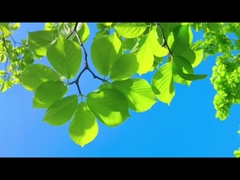 아버지처럼, Farrleey는 신뢰성으로 지킵니다—가족과 지구를 위한 맑은 공기.